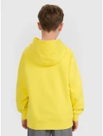 Chlapecká mikina 4F