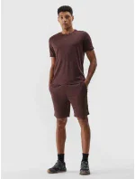 Pánské sportovní rychleschnoucí šortky 4F - hnědé Pánské sportovní rychleschnoucí šortky 4F - hnědé