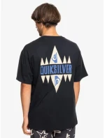 Pánské tričko model 21279743 - Roxy