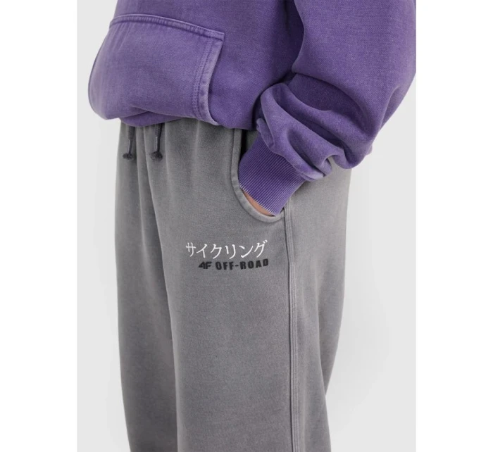 Chlapecké tepláky joggers model 21877646 - 4F Chlapecké tepláky joggers model 21877646 - 4F