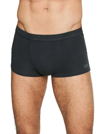 Pánské boxerky 22052 State grey - HENDERSON