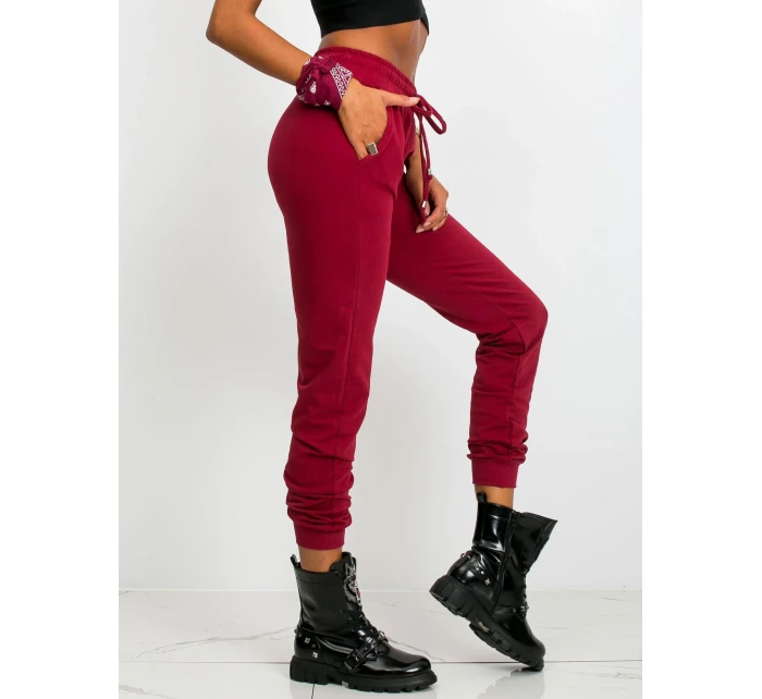 Tepláky RV DR 5040.04X kaštanová