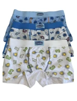 Chlapecké boxerky model 21337738 - Gasolineblu