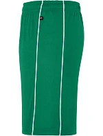 Daiber JN 387 Týmové kraťasy "Basic" 02.0387 green/white