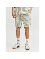 Jack&Jones pánské pruhované šortky JPSTJAIDEN COBA STRIPE JOG SHORTS REG SN 12274413 TEA/STRIPES