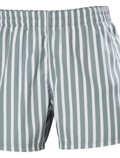 Helly Hansen Newport Trunk M plavecké šortky 34296 485