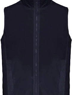 K 679 Vesta model 22483462 - Kariban