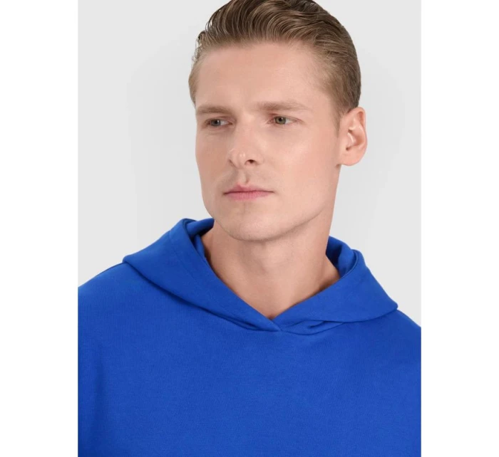 Pánská mikina s kapucí pánská model 21434968 - 4F Pánská mikina s kapucí pánská model 21434968 - 4F