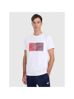 Pánské tričko s potiskem 4F 4FRAW25TTSHM3224-10S