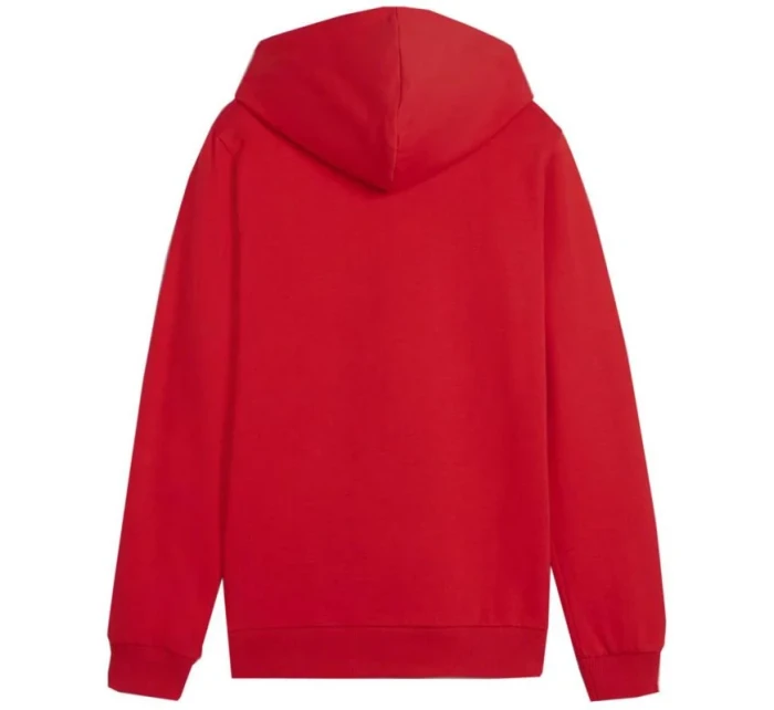 Mikina Puma Team Goal Casuals Hoddy Jr 658619 01 Mikina Puma Team Goal Casuals Hoddy Jr 658619 01