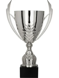 Stříbrný kovový pohár