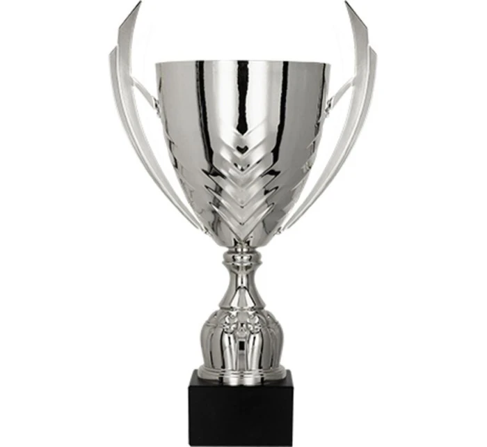 Stříbrný kovový pohár