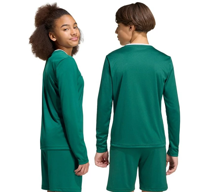 Dětský dres Entrada 26 s dlouhým rukávem zelený model 22072106 - ADIDAS Dětský dres Entrada 26 s dlouhým rukávem zelený model 22072106 - ADIDAS