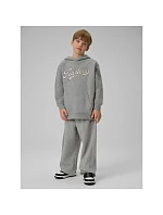 Chlapecká mikina s kapucí volná model 22135680 dětské - 4F