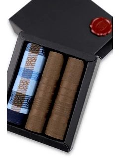 Pánské kapesníky ks model 22072908 - EGA