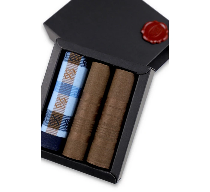 Pánské kapesníky ks model 22072908 - EGA Pánské kapesníky ks model 22072908 - EGA