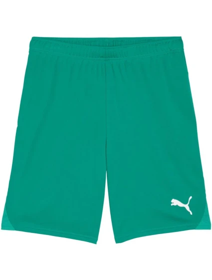 Pánské šortky Puma Team Goal zelené 705752 05 Pánské šortky Puma Team Goal zelené 705752 05