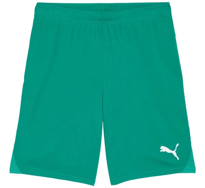 Pánské šortky Puma Team Goal zelené 705752 05 Pánské šortky Puma Team Goal zelené 705752 05