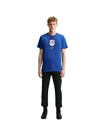 Pánské tričko Nike Chelsea F.C., modré, IQ4996 495