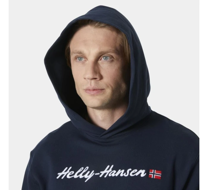 Helly Hansen Core Graphic Sweat Hoodie M 53924 596 Helly Hansen Core Graphic Sweat Hoodie M 53924 596