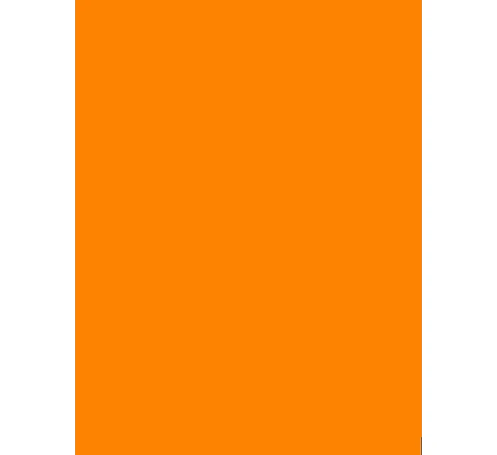 Dámský top Sport Top Gatta 3K 612 Dámský top Sport Top Gatta 3K 612