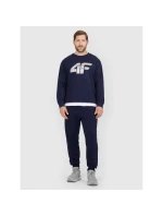 Pánské tepláky typu jogger 4F 4FRMM00TTROM1624-31S Pánské tepláky typu jogger 4F 4FRMM00TTROM1624-31S