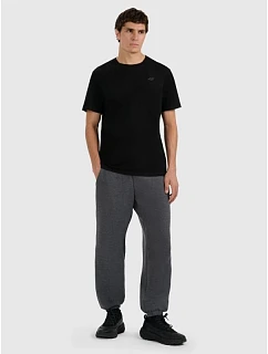 Pánské tepláky typu jogger 4F 4FRMM00TTROM1625-23M