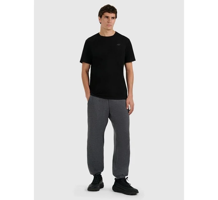 Pánské tepláky typu jogger model 22117471 - 4F