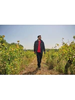 WK WK 650 Pracovní parka 20.W650 navy