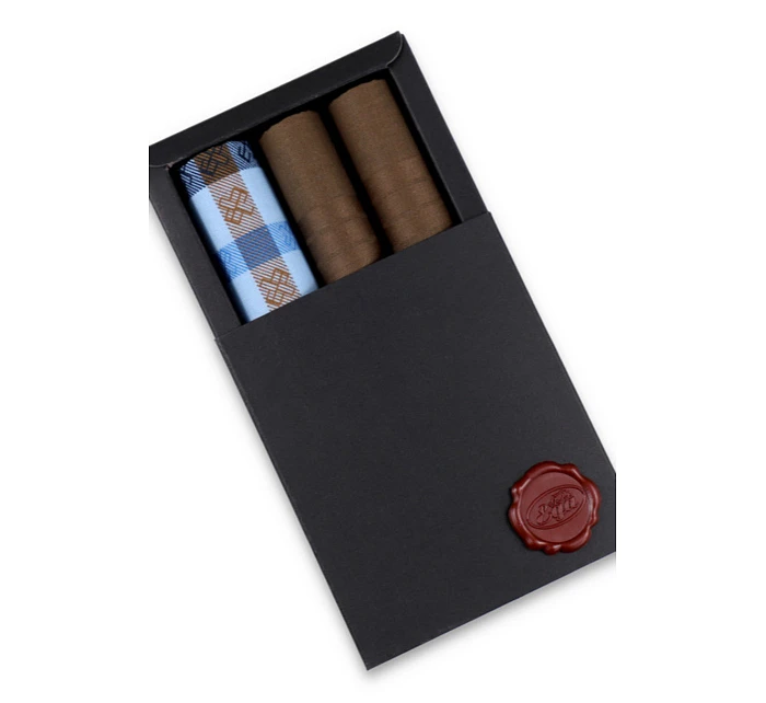 Pánské kapesníky ks model 22072908 - EGA Pánské kapesníky ks model 22072908 - EGA