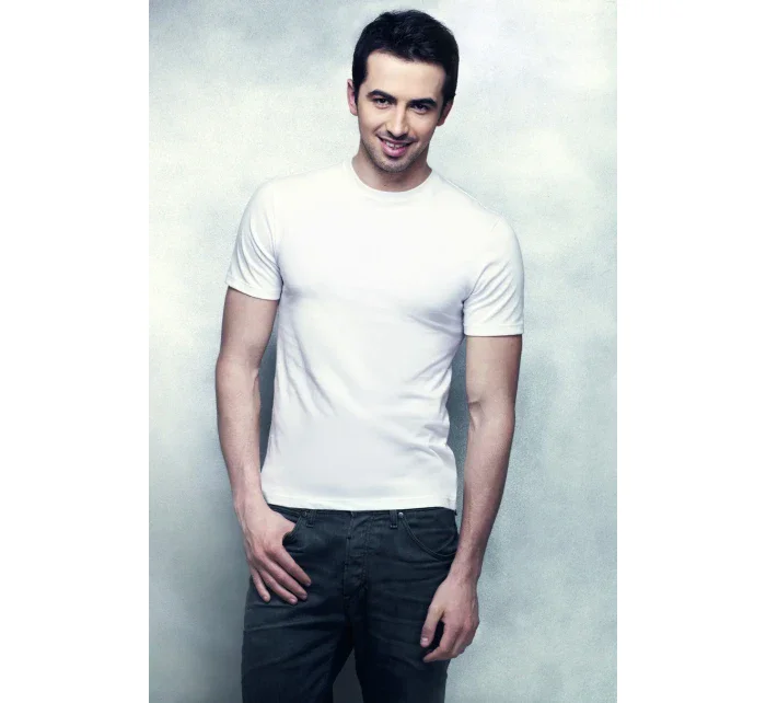 Pánské tričko Alex k/r - TOP-BIS