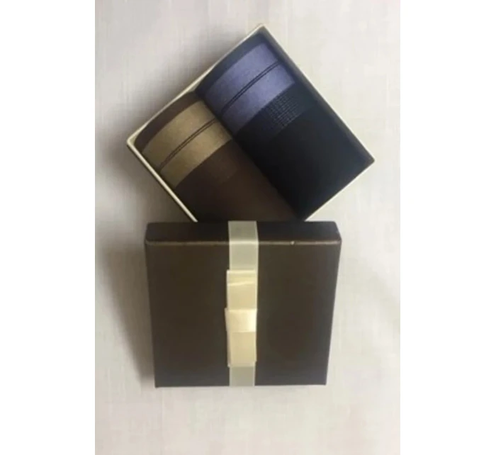 Pánské kapesníky CH-760  komplet 2 kusy - EGA