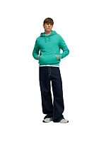 Pánská mikina Puma ESS No.1 Logo Centered Hoodie green 692914 40 pánské