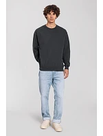 Fruit of the Loom Iconic 250 Set-In Sweat Mikina 16.2292 light graphite