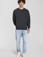 Fruit of the Loom Iconic 250 Set-In Sweat Mikina 16.2292 light graphite