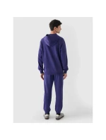 Pánské tepláky tepláky model 21437415 - 4F Pánské tepláky tepláky model 21437415 - 4F