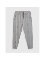 Pánské tepláky typu jogger model 21817021 - 4F Pánské tepláky typu jogger model 21817021 - 4F