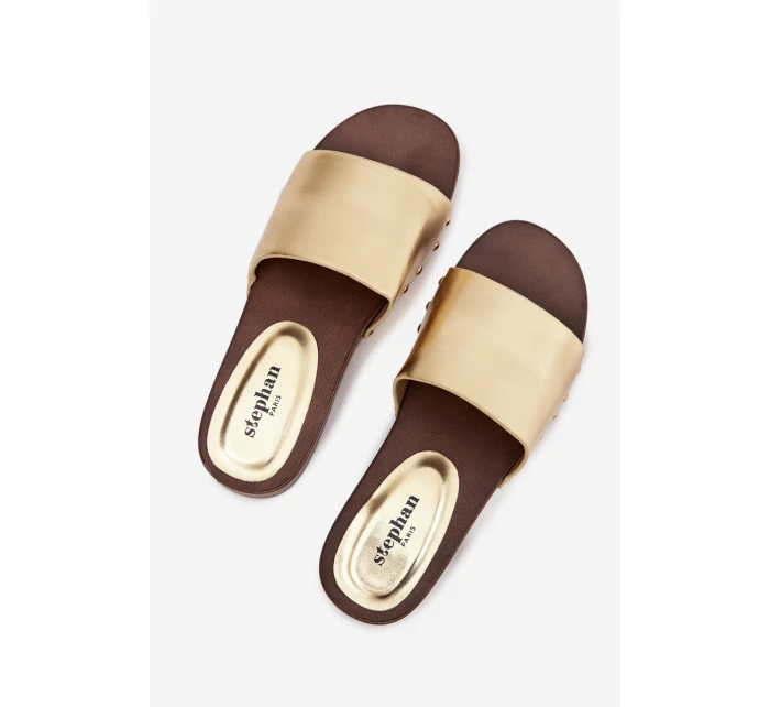 Dámské žabky se zlatými sponkami Terissa