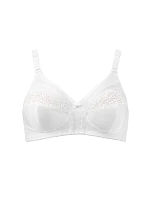 Soft model 229987 Triumph