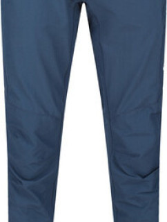 Pánské kalhoty model 18667033 Highton Trs Modré - Regatta