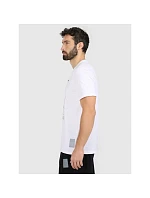 Pánské tričko s potiskem 4F 4FRAW25TTSHM3845-10S