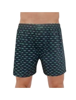 Pánské trenýrky model 21287416 Comfort plus - Cornette