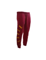 Tepláky Air Jordan Flight MVP - FB7027-619