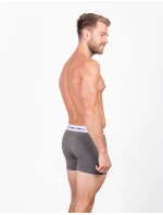 Pánské boxerky Vuch Ragaz Grey Pánské boxerky Vuch Ragaz Grey