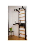 GYMNASTICKÝ ŽEBŘÍK S TYČÍ A MADLEM PRO CVIČENÍ NA LAVIČCE 722B