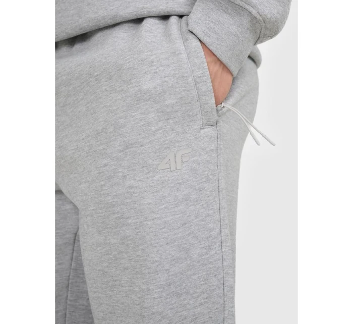 Pánské tepláky typu jogger model 21877671 - 4F Pánské tepláky typu jogger model 21877671 - 4F