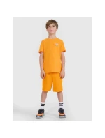 Chlapecké tričko s potiskem 4F 4FJRSS25TTSHM2642-70S Chlapecké tričko s potiskem 4F 4FJRSS25TTSHM2642-70S