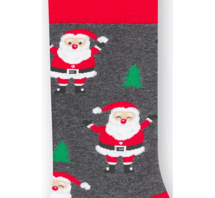 Obrázkové ponožky 136 122 - Steven