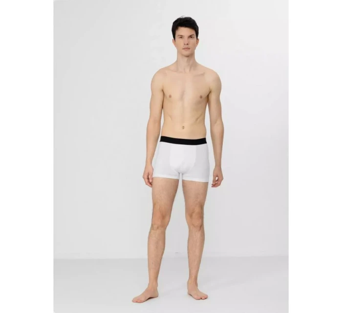 Boxerky 4F M H4Z22-BIM350-92S Boxerky 4F M H4Z22-BIM350-92S