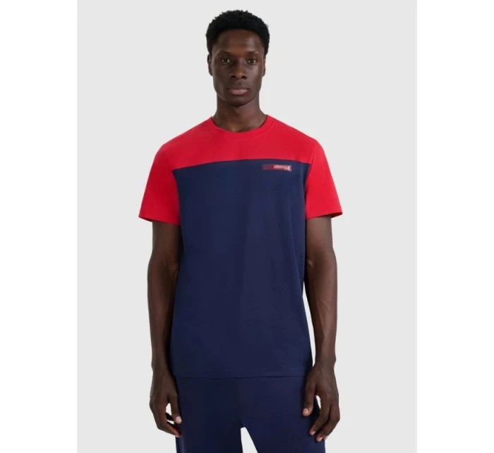 Pánské tričko s potiskem 4F 4FRAW25TTSHM3292-31S